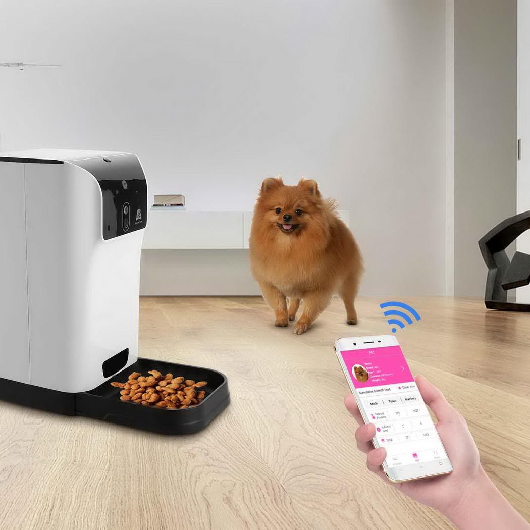 smart home dog feeder