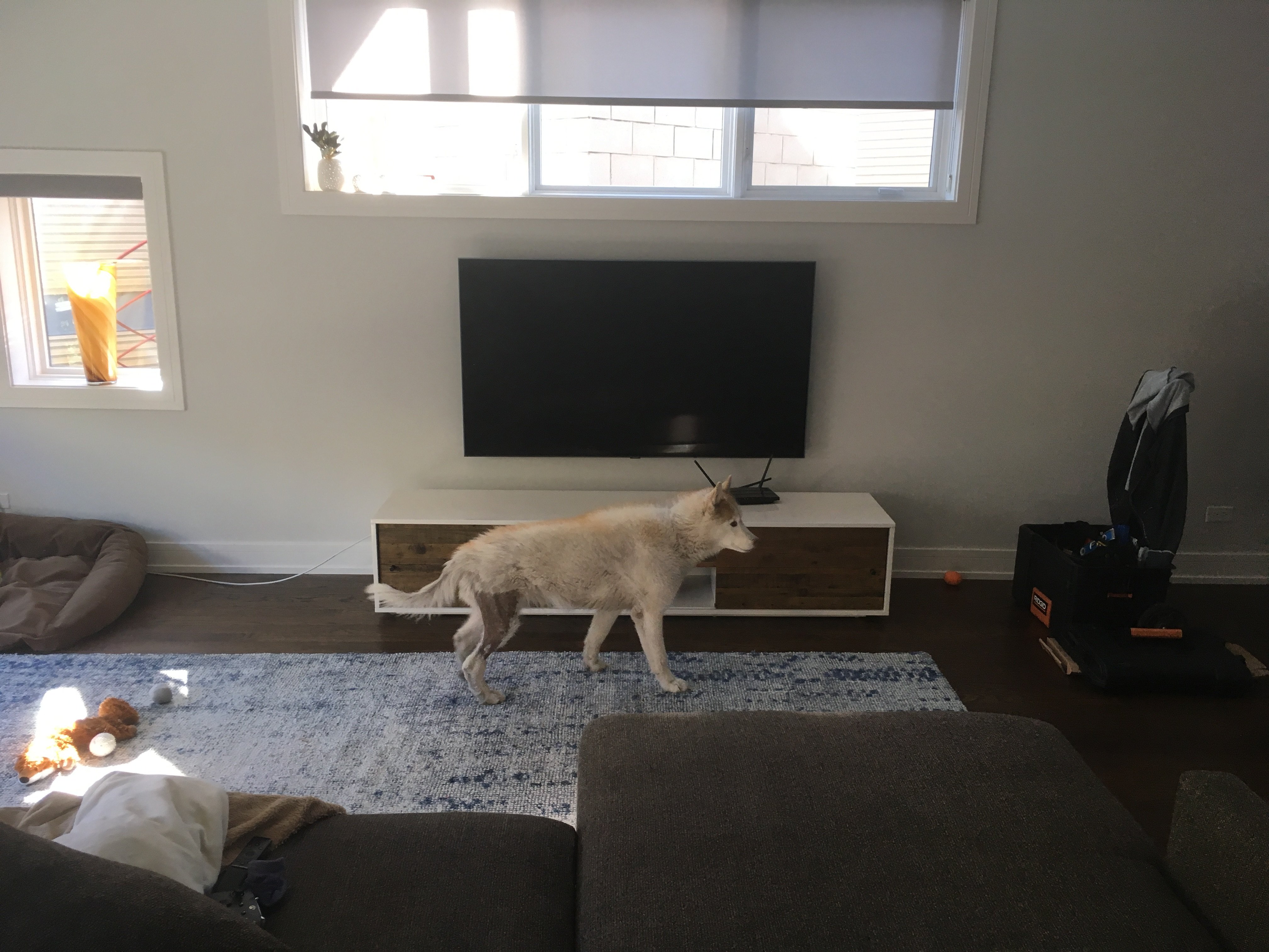 Mounting TV to Drywall 6 Reasons to Mount Your TV ASAP