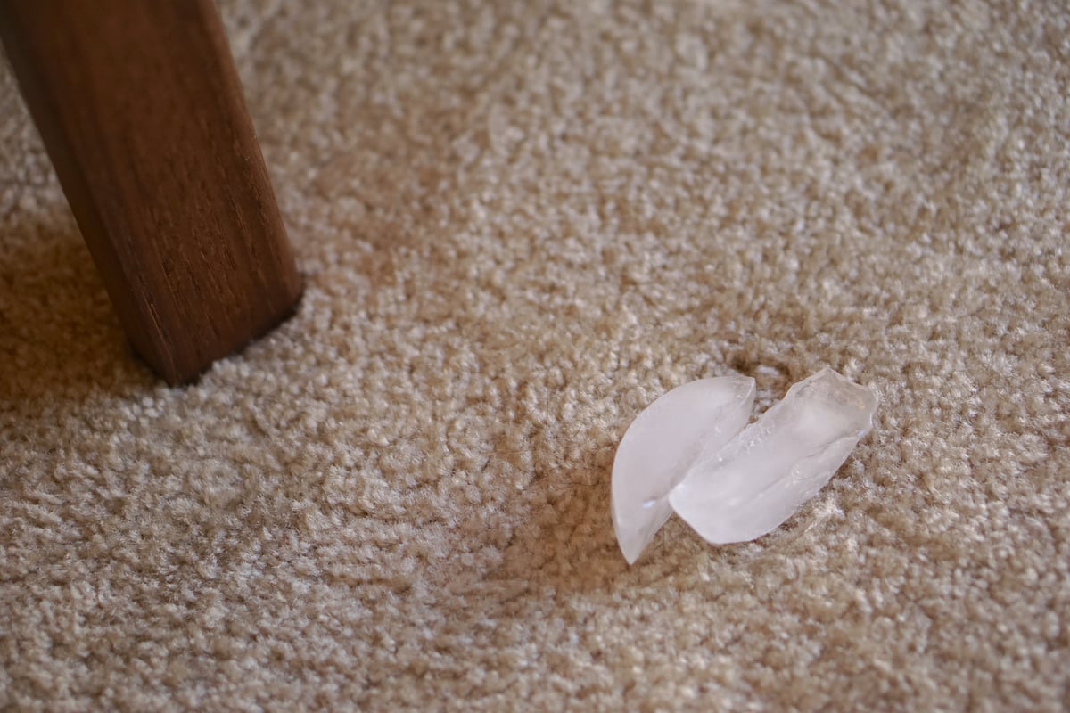 5 Carpet Care Tips That Can Double Your Carpet's Lifespan