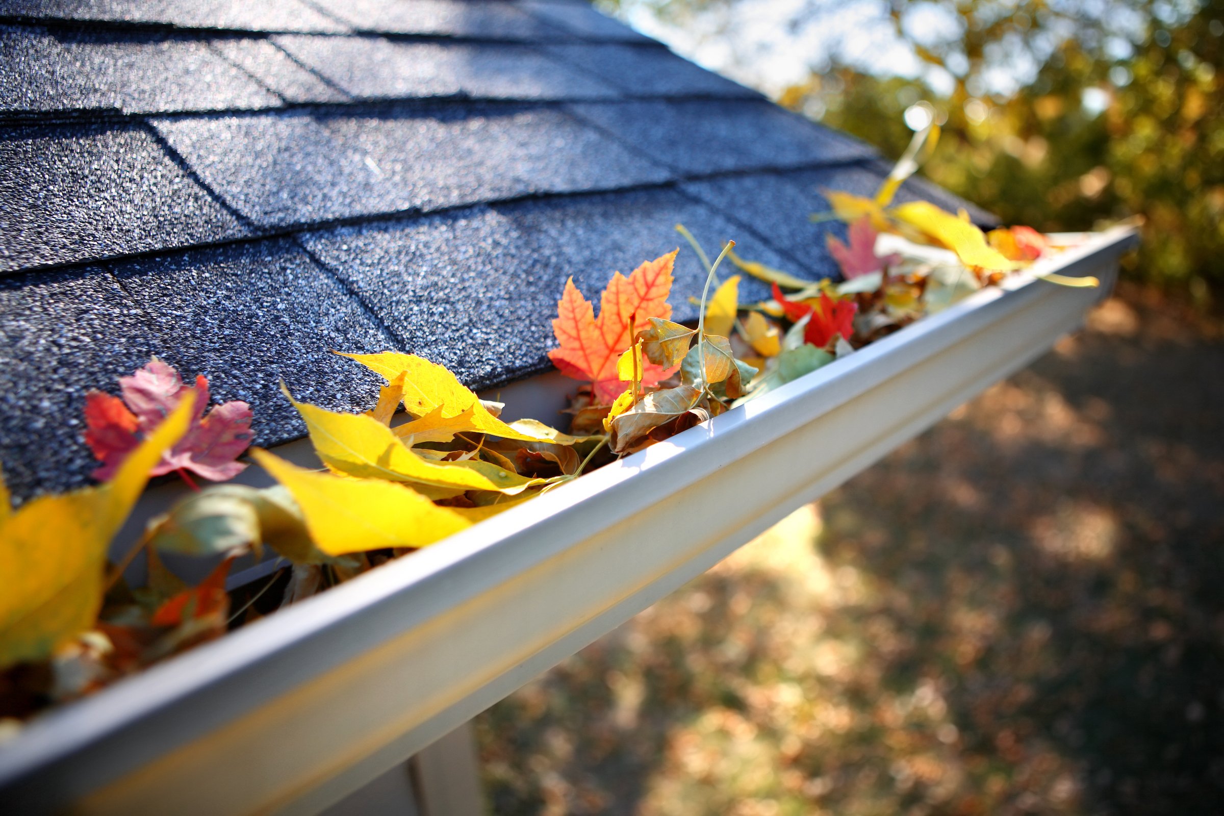 Cost of gutter cleaning near you. 