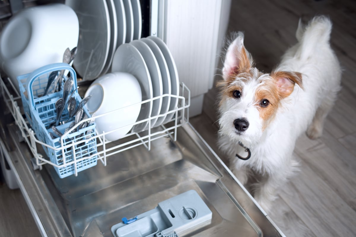 LG repair near me: who to call if you have these dishwasher issues