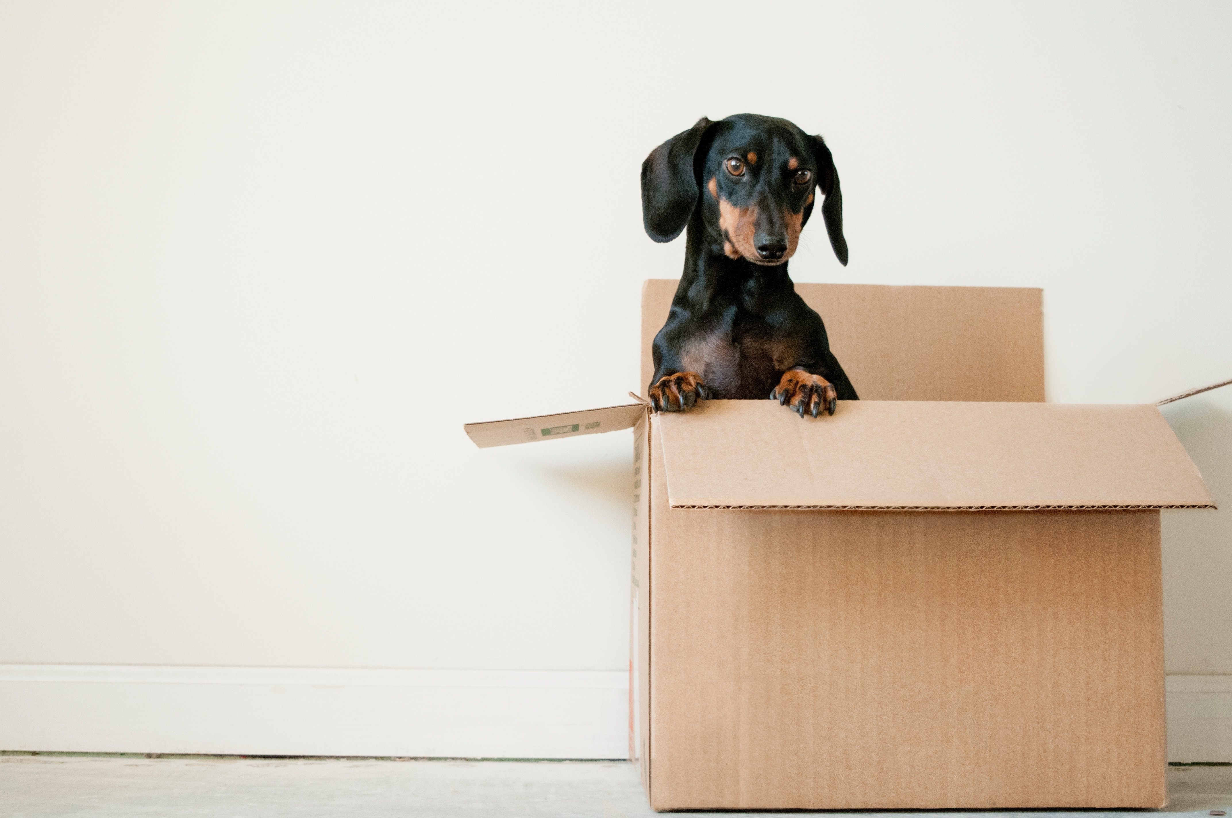 Handymen can also often help with moving services.