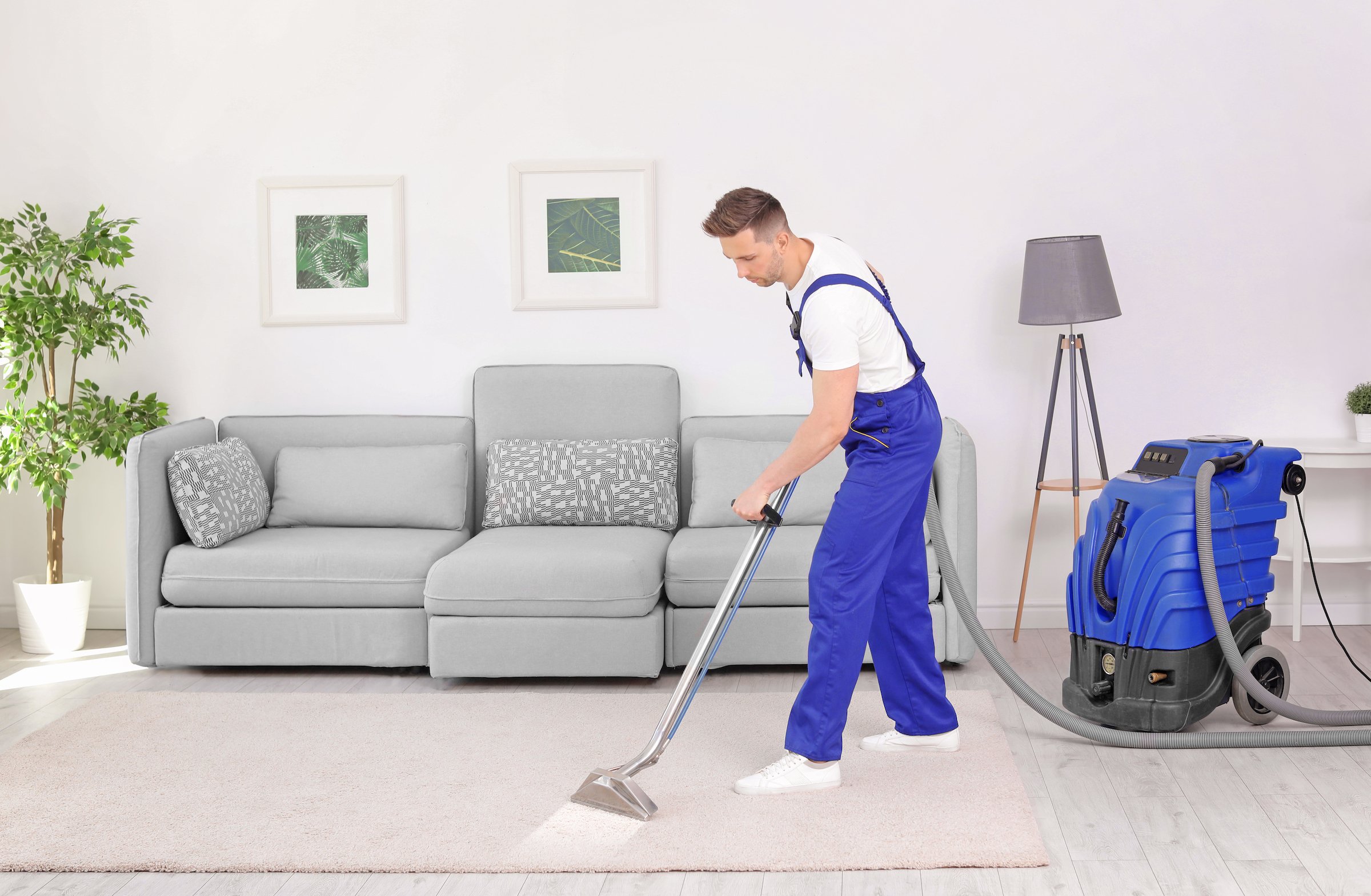 Steam cleaner for carpet cleaning фото 91