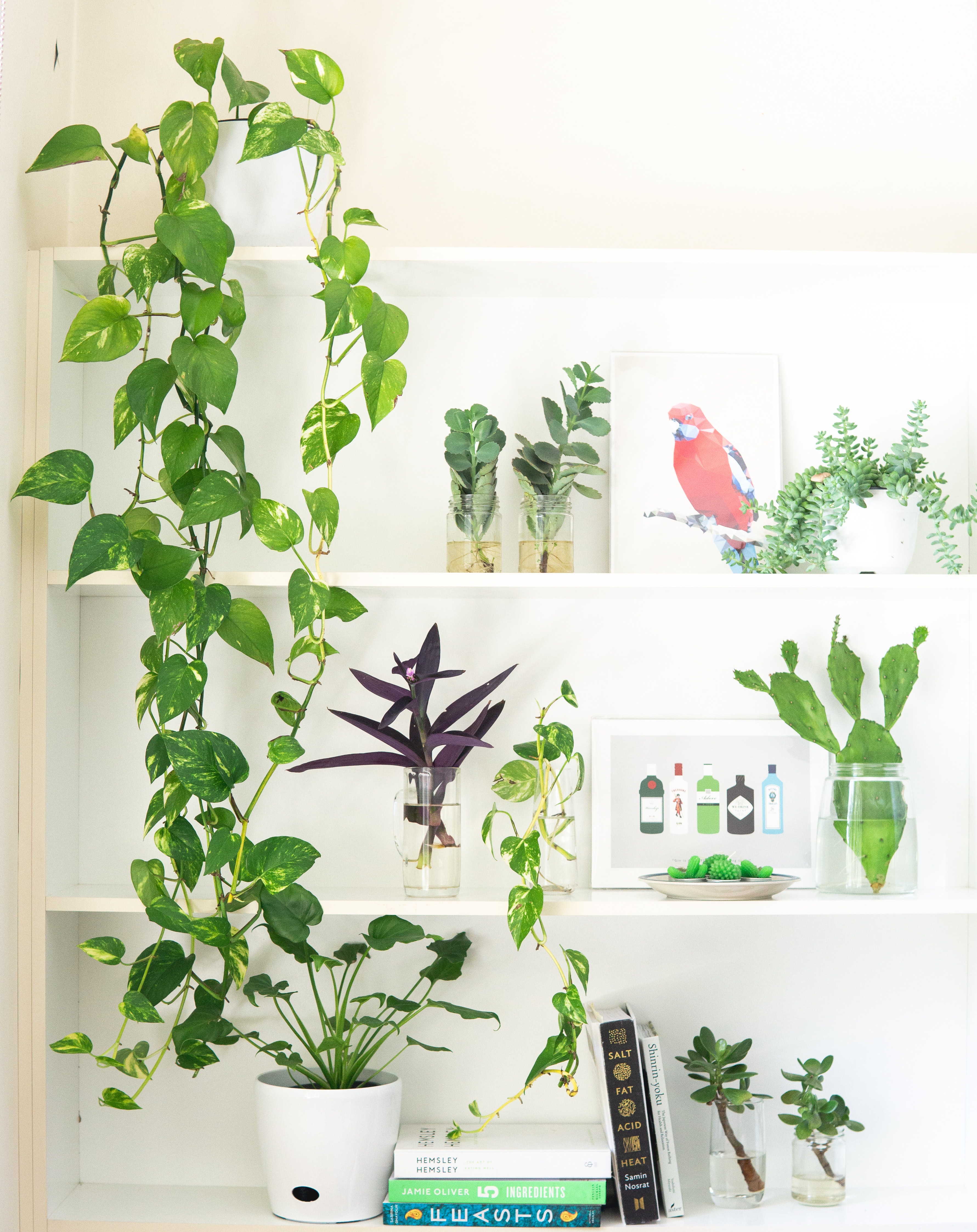 How to Hang Art Without Nails So You Don’t Damage Your Walls