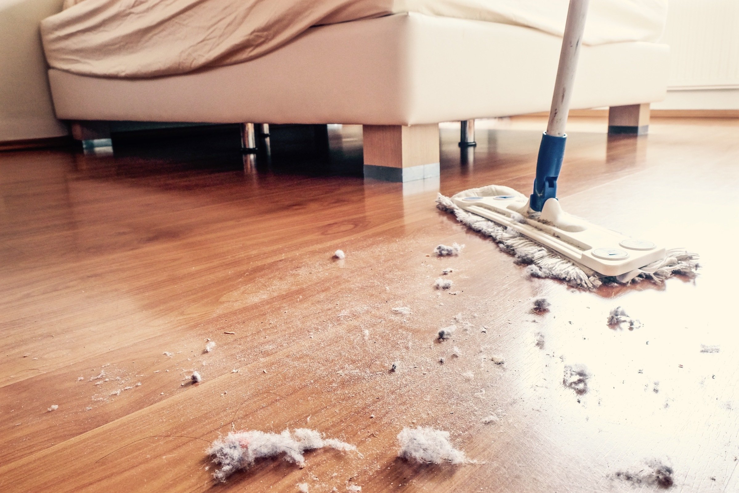 How To Take Care Of Hardwood Floors How To Take Care Of Hardwood Floors