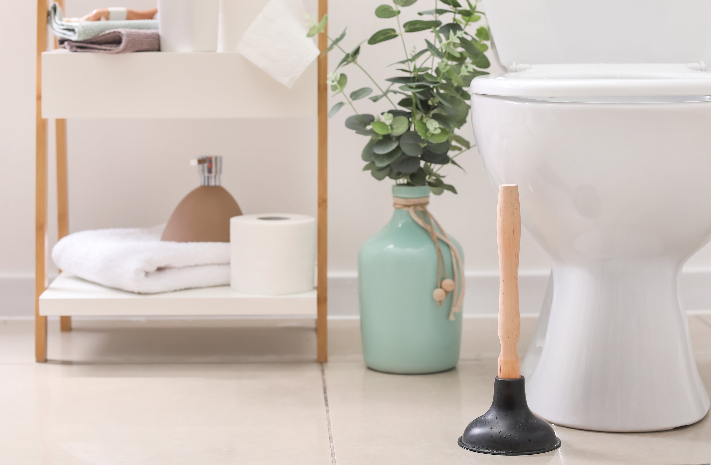 Plumbing tip for new homeowners 3: know your way around a plunger