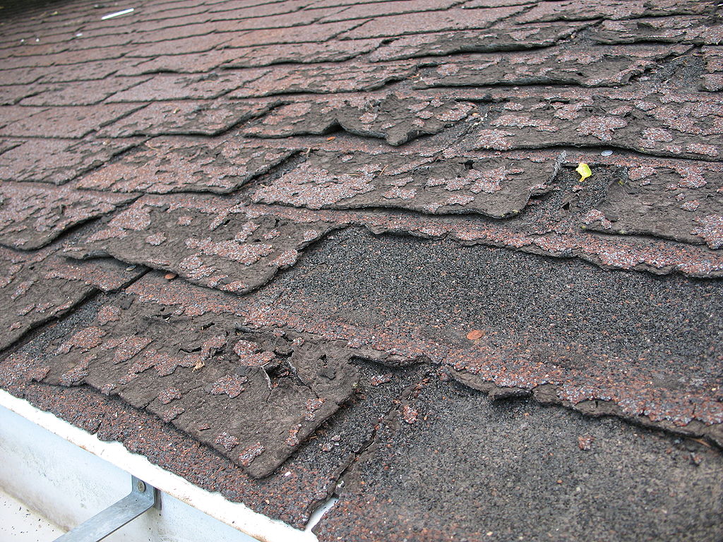 Roof maintenance checklist: are there bare spots on your asphalt shingles?