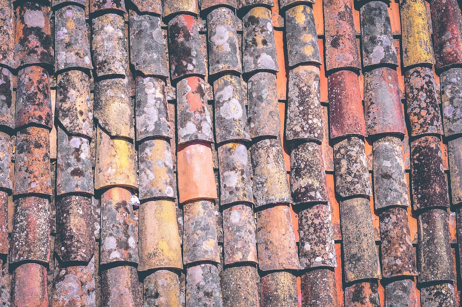 Roof maintenance checklist: are there missing or damaged shingles?