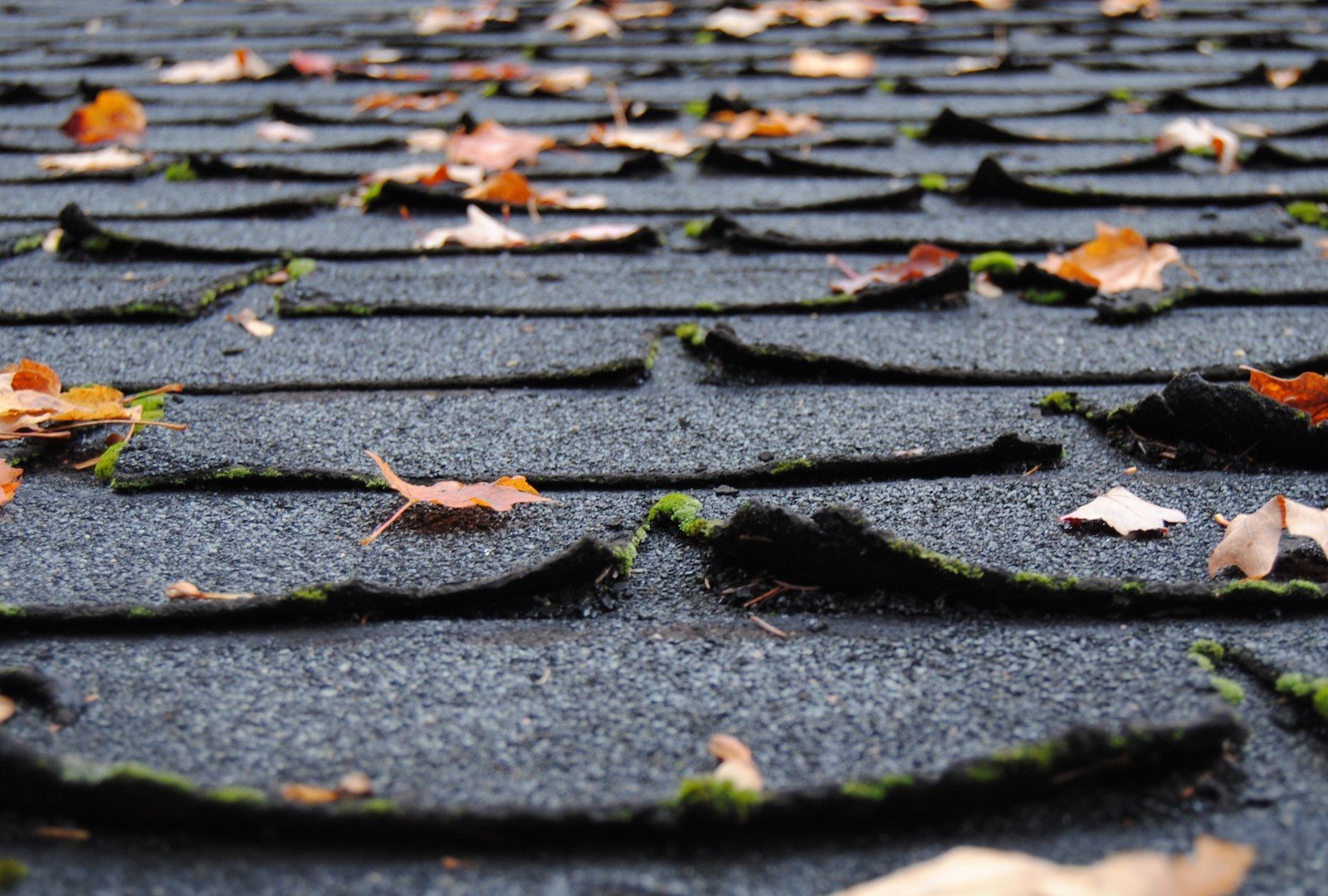 Roof maintenance checklist: are the shingles curled or buckled?