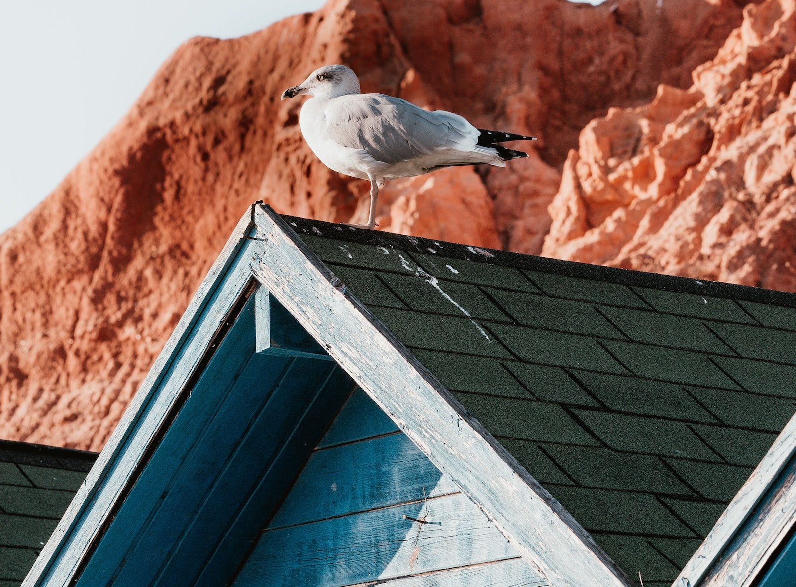 Roof maintenance checklist: Is there peeling paint on any roof overhangs?