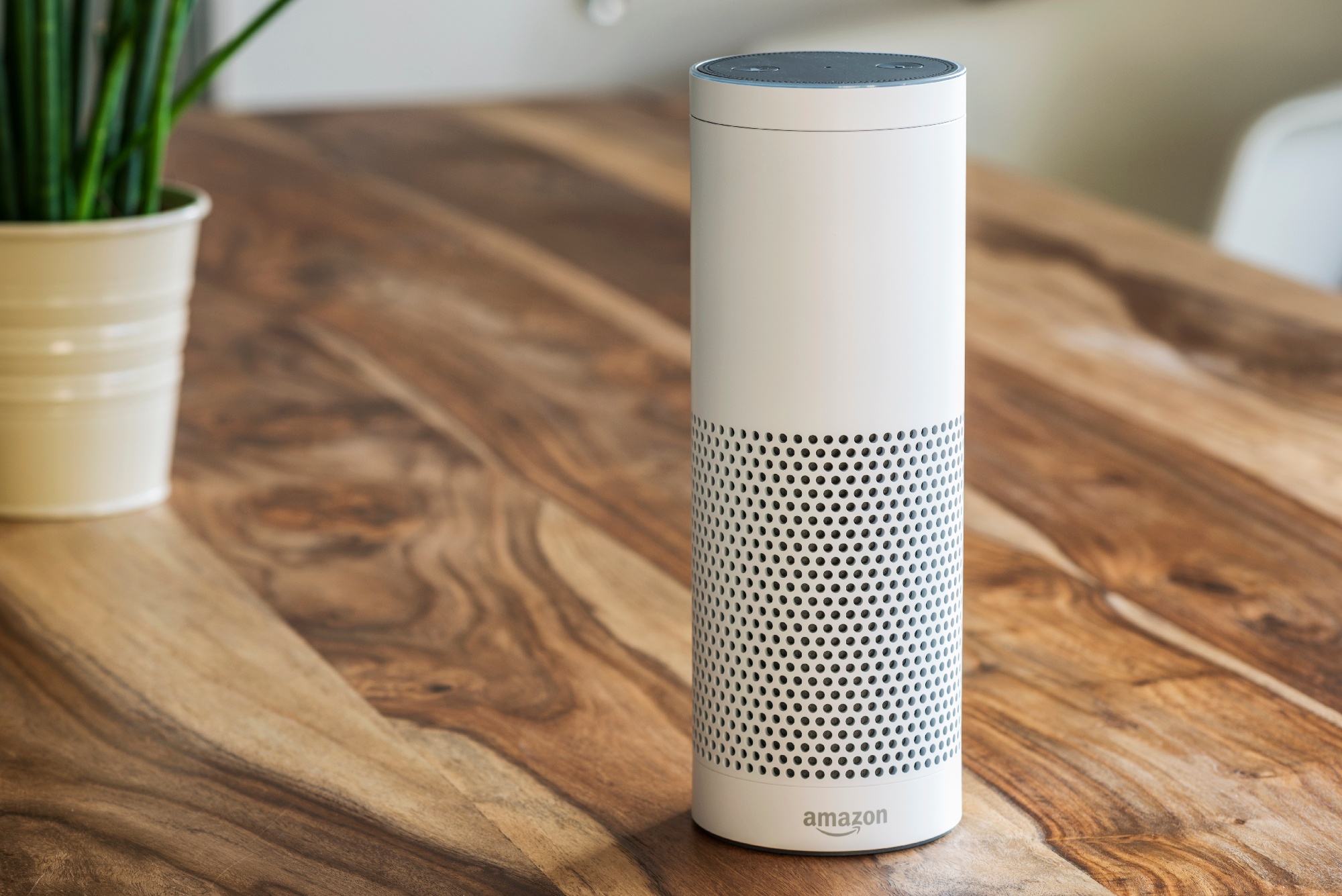 Alexa enabled speaker