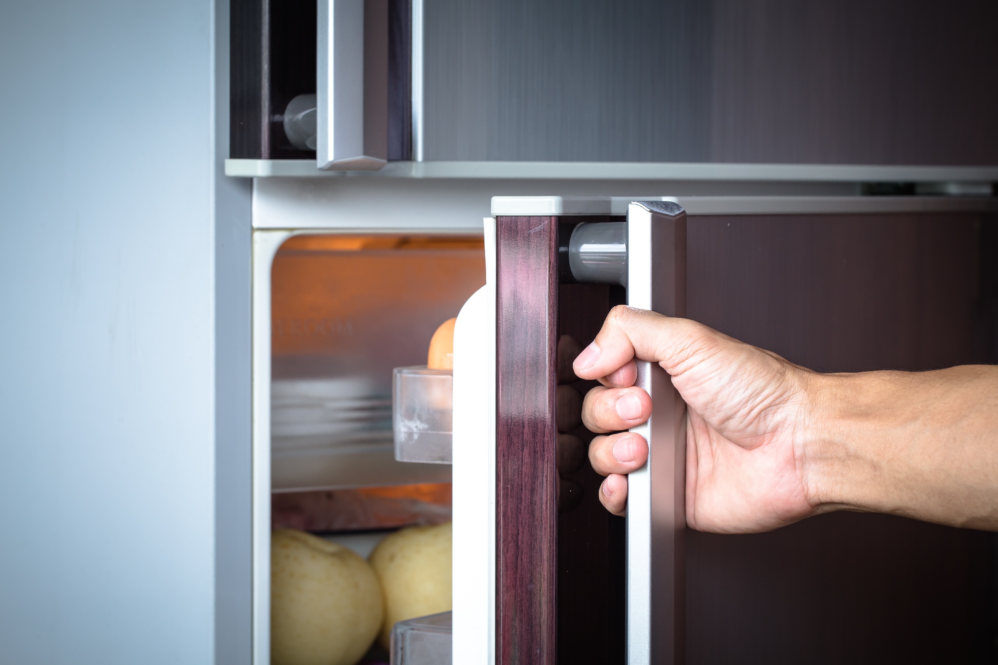 checking seal on fridge door