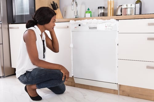 how-much-should-i-pay-for-dishwasher-repair