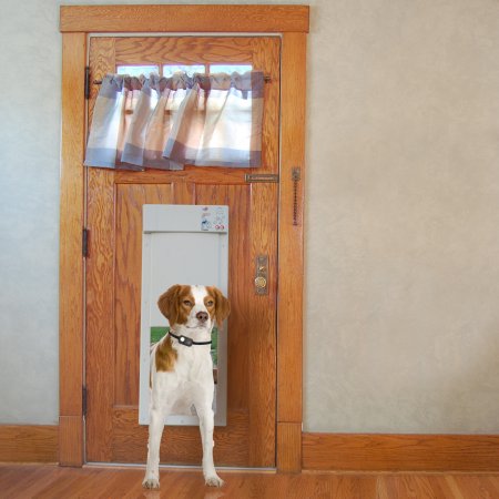 Smart pet door